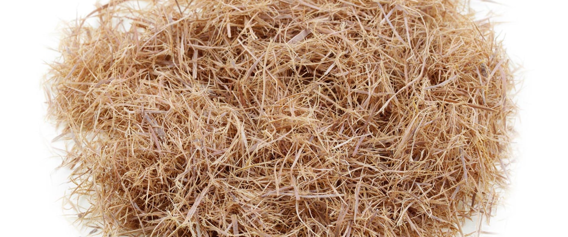 The Power of Cat's Claw: A Comprehensive Guide to its Benefits for the Body