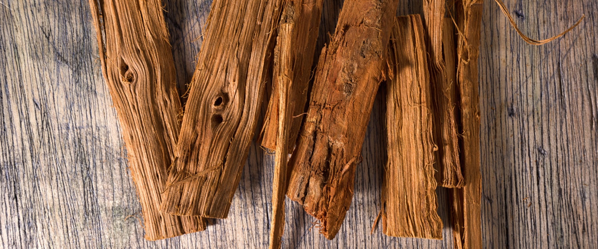 The Power of Cat's Claw: An Expert's Perspective on Daily Use and Its Benefits